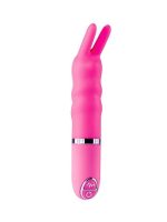 4 INCH  MINI RABBIT 10 SPEED