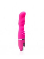 Crazy Performer | Vibrator