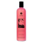 Shunga - Shower Gel Exotic Fruits 500 ml